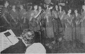 1981 dec pauwkes